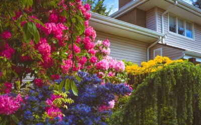 Sustainable Landscaping Tips For Your Property